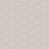 Shaw Tetra Designer Hex 2 Porcelain Tile Linen
