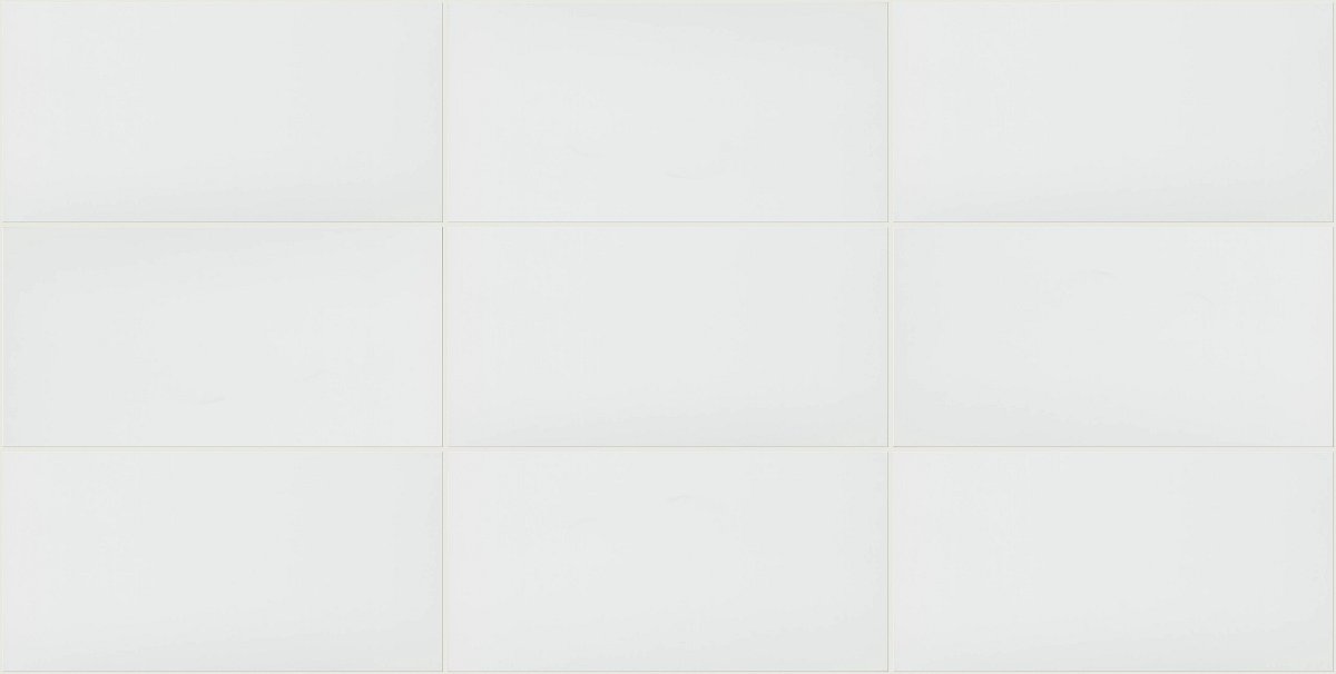 Shaw Domino Polished Porcelain Tile 12x24 White
