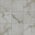 Shaw Astoria Polished Porcelain Tile 24x24 Brindle
