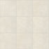 Shaw Blooms Solid Porcelain Tile Ivory Haze