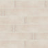 Shaw Blooms Ceramic Tile 2.5x10 Ivory Haze