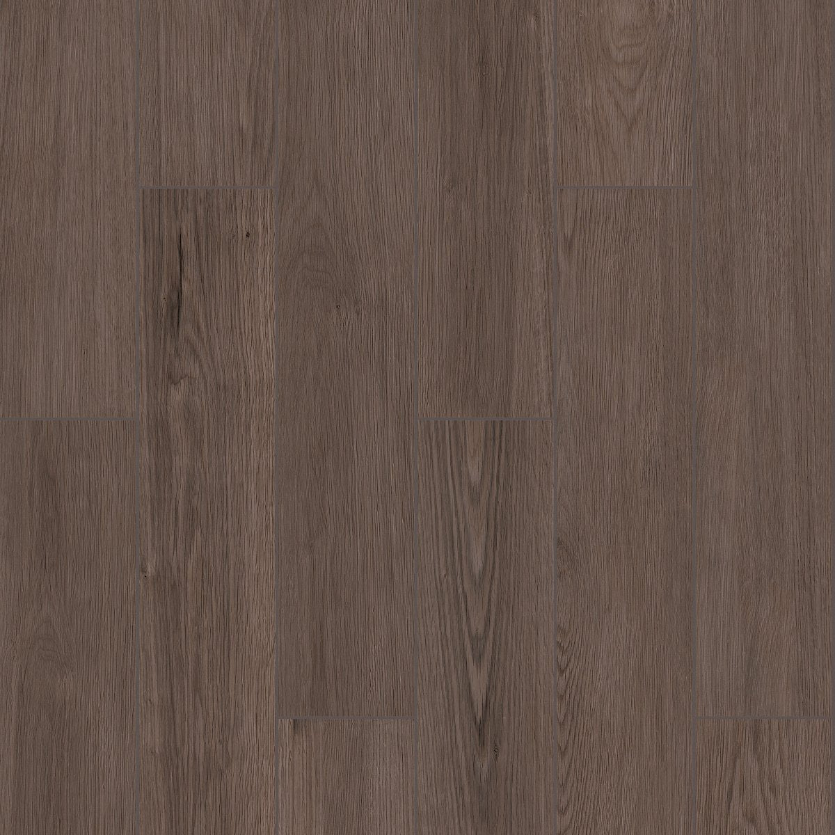 Shaw Overland Porcelain Tile 6x36 Outpost