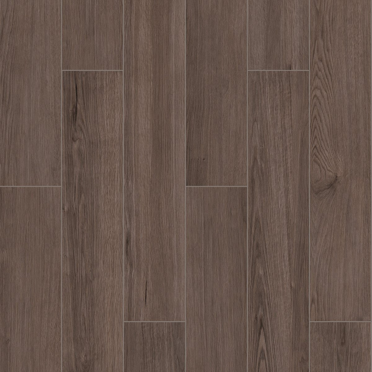 Shaw Overland Porcelain Tile 8x48 Outpost