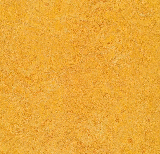 Marmoleum Real Dandelion 3225 linoleum sheet swatch