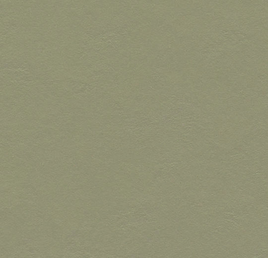 Marmoleum Walton Rosemary Green 3355 linoleum sheet swatch