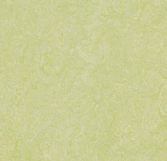 Marmoleum Real Green Wellness 3881 linoleum sheet swatch