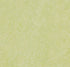 Marmoleum Real Green Wellness 3881 linoleum sheet swatch