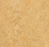 Marmoleum Real Van Gogh 3173 linoleum sheet swatch