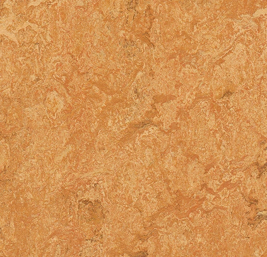 Marmoleum Real Sahara 3174 linoleum sheet swatch