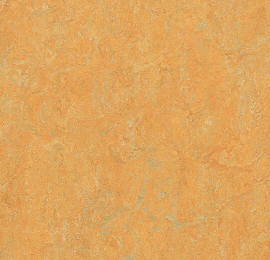 Marmoleum Real Golden Saffron 3847 linoleum sheet swatch