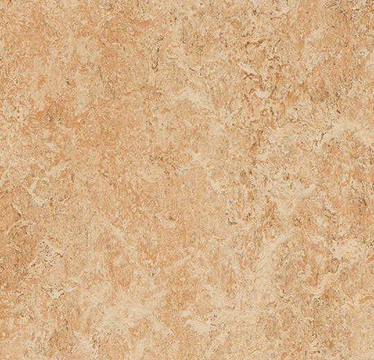 Marmoleum Real Shell 3075 linoleum sheet swatch