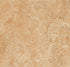 Marmoleum Real Shell 3075 linoleum sheet swatch