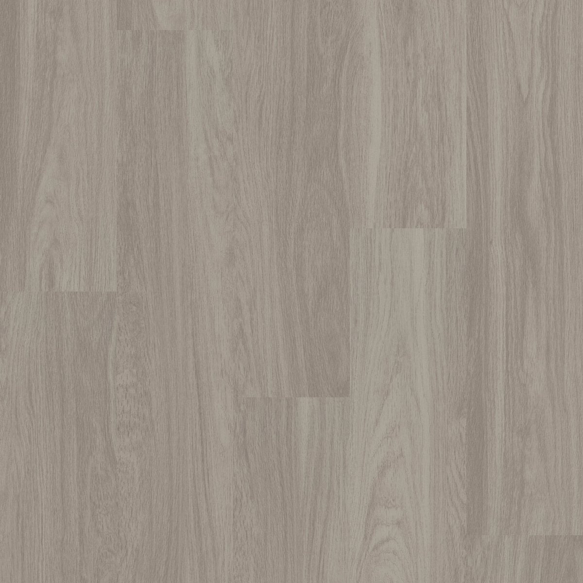 Alba Reserve 8 Shadow 00520