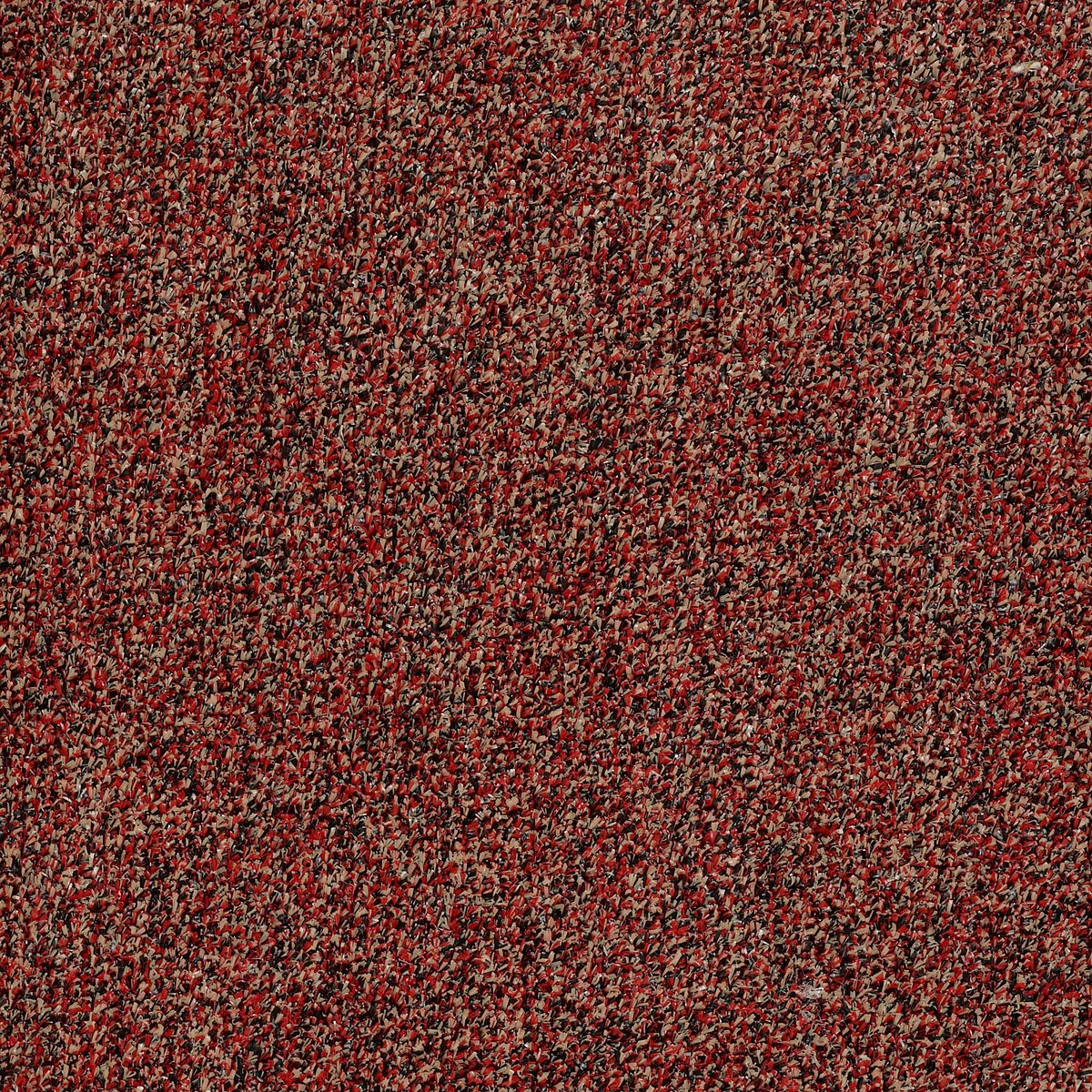 Arbor View (T) China Berry 00810