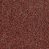Arbor View (T) China Berry 00810