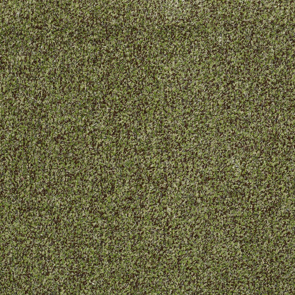 Arbor View (T) Mossy Bark 00310