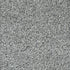 Arbor View (T) Pavement 00510