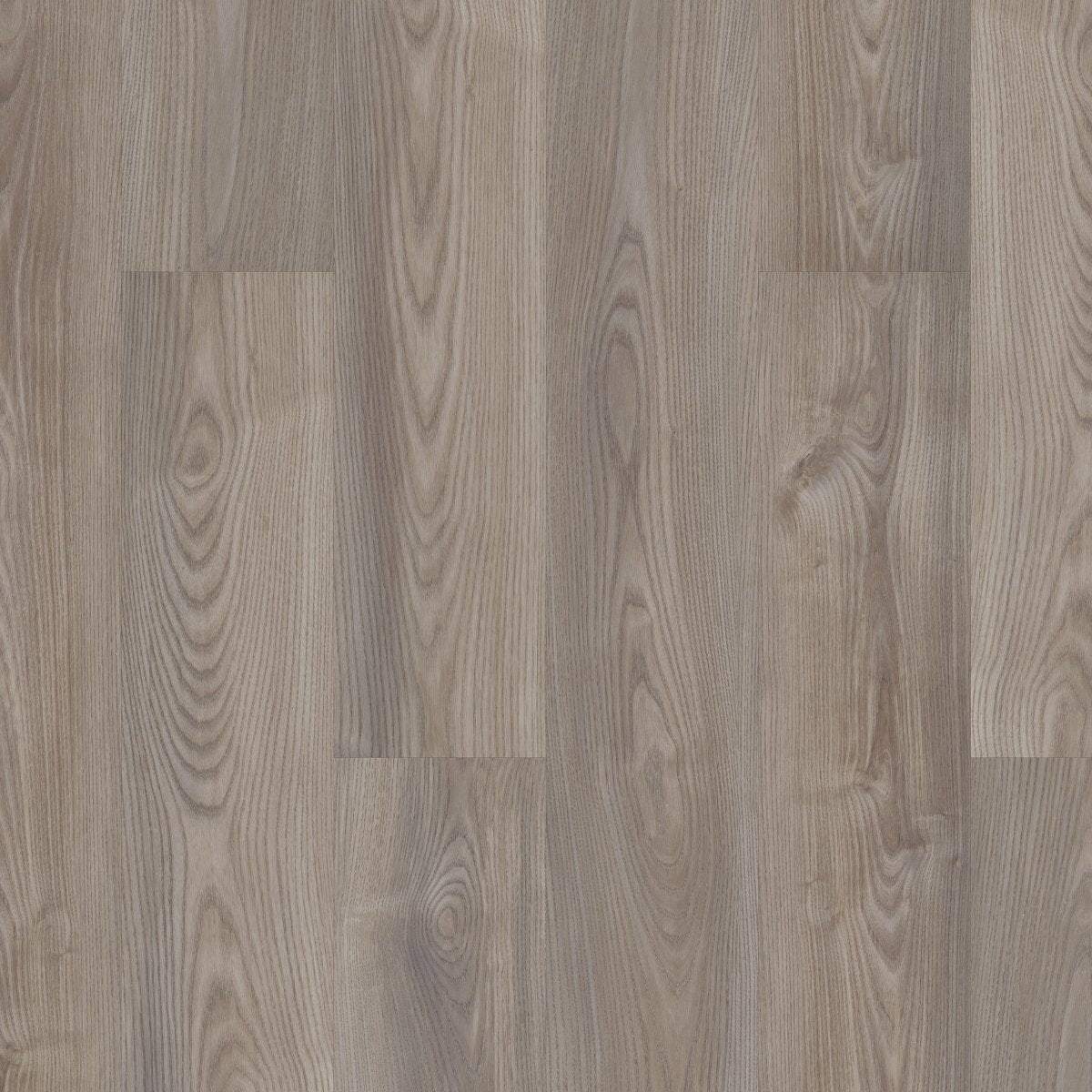 Ardent Grey Chestnut 07062