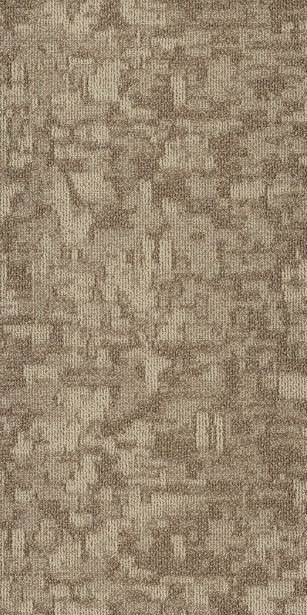 Arid Dunes 00214