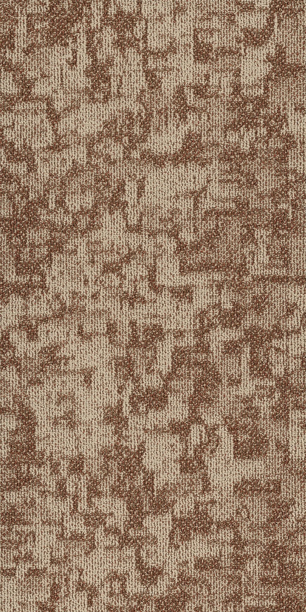 Arid Mesa 00801