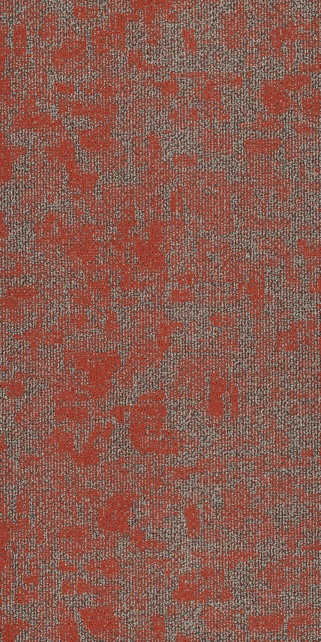 Arid Miombo 00816
