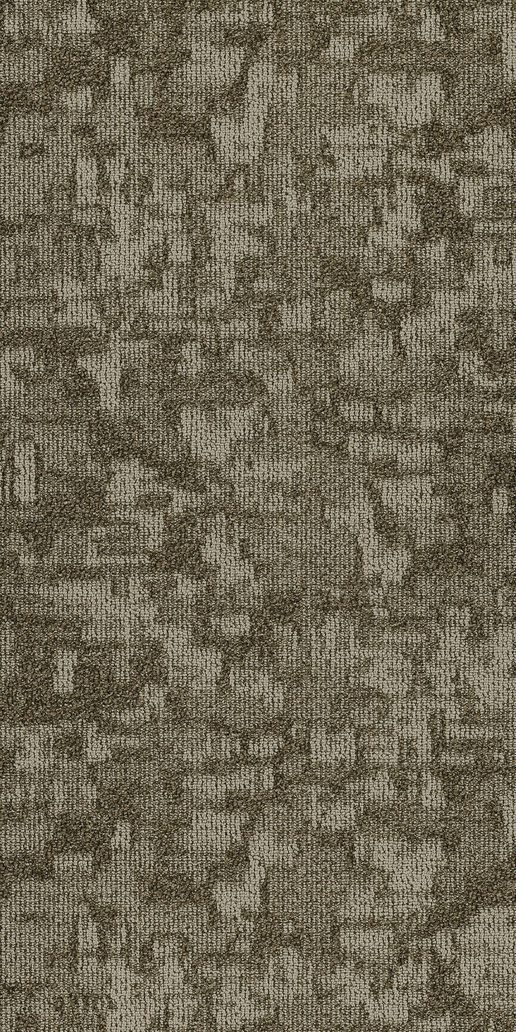 Arid Salt Flat 00710