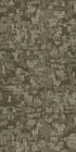 Arid Salt Flat 00710
