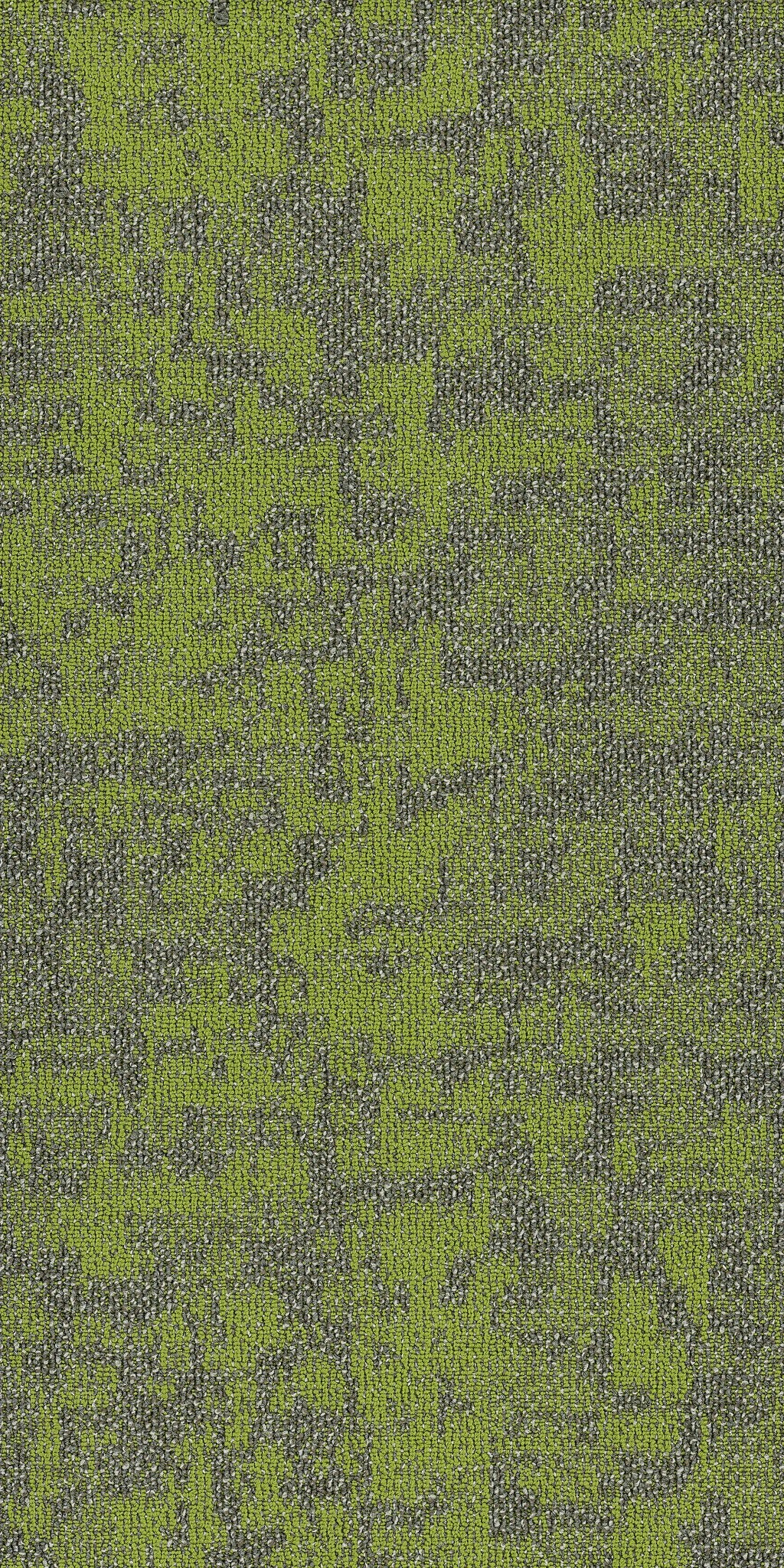 Arid Taiga 00315