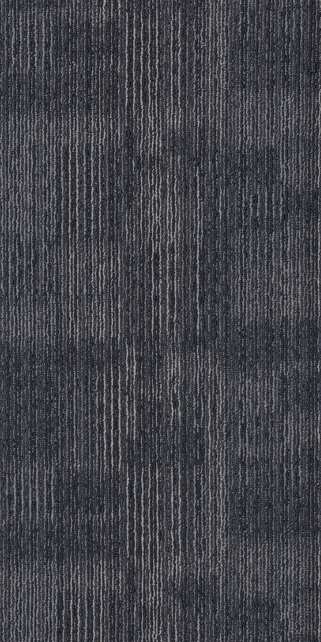 Ascension Reform 00400