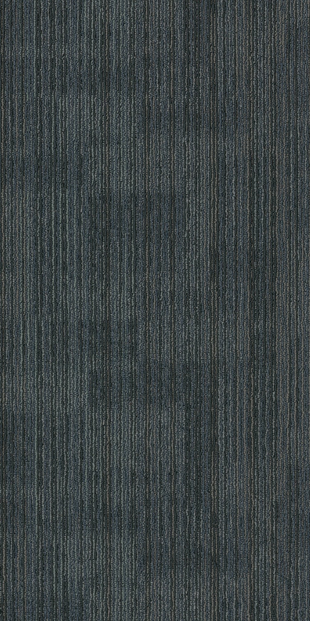 Ascension Reprise 00300