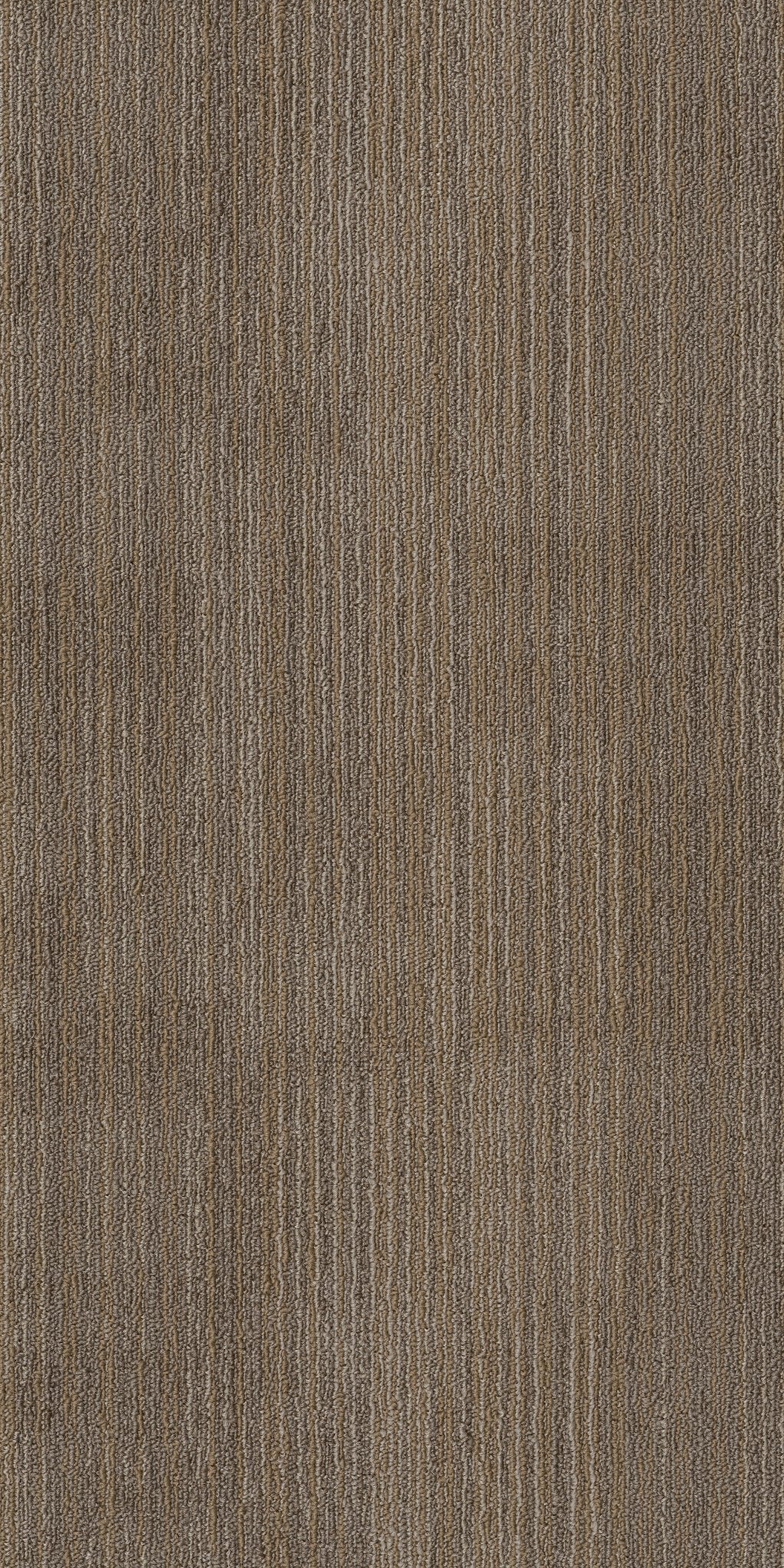 Ascension Rework 00208