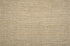 Antrim Broadloom Wool Carpet Flora – 15 ft  wide