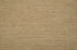 Antrim Broadloom Wool Carpet Flora – 15 ft  wide