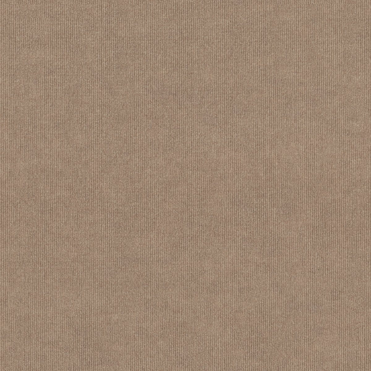 Backdrop 2 12 Natural Finish 00100