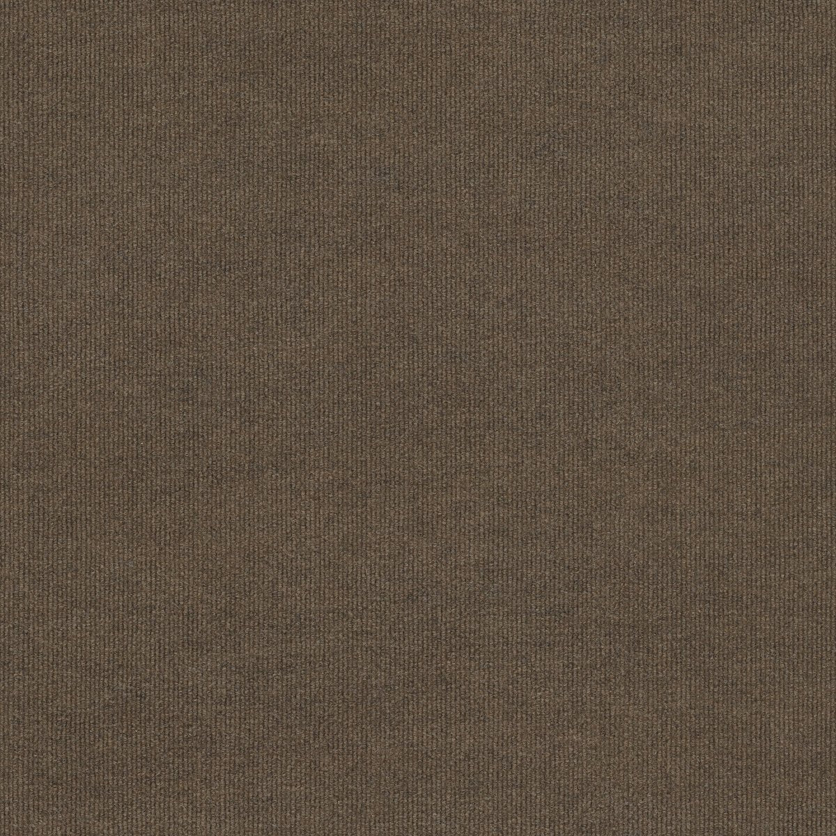 Backdrop 2 12 Peat 00700