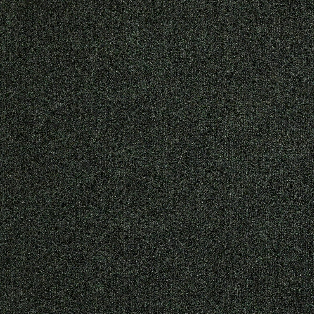 Backdrop I 12 Forest Night 00300