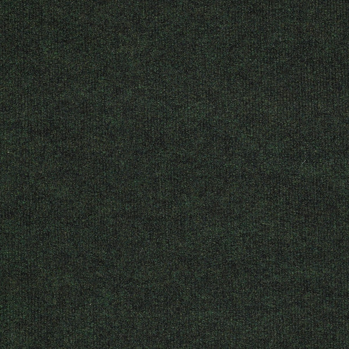 Backdrop I 6 Forest Night 00300