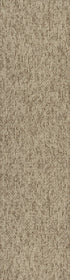 Basin Dunes 00214