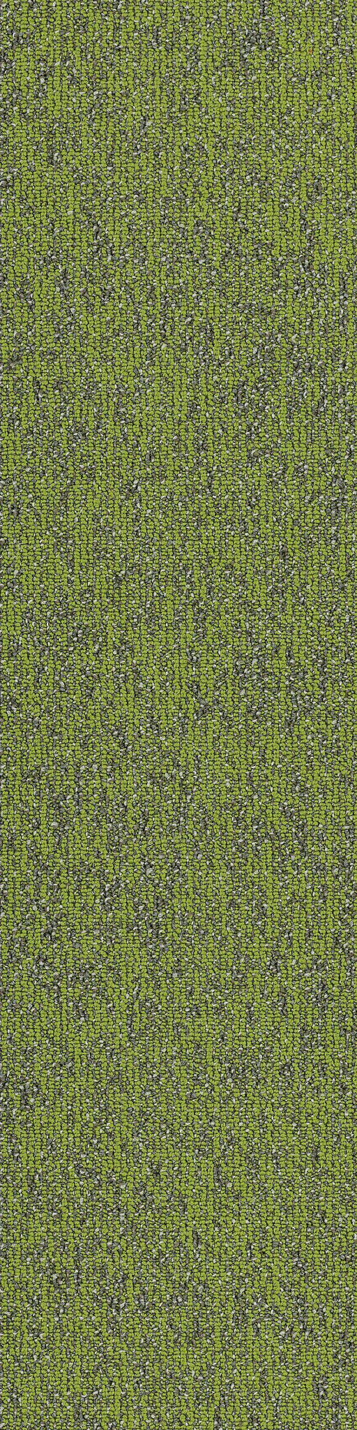Basin Taiga 00315