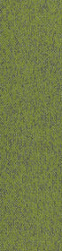 Basin Taiga 00315