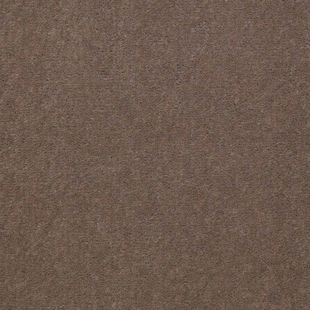 Baytowne III 30 Bashful Taupe 65742