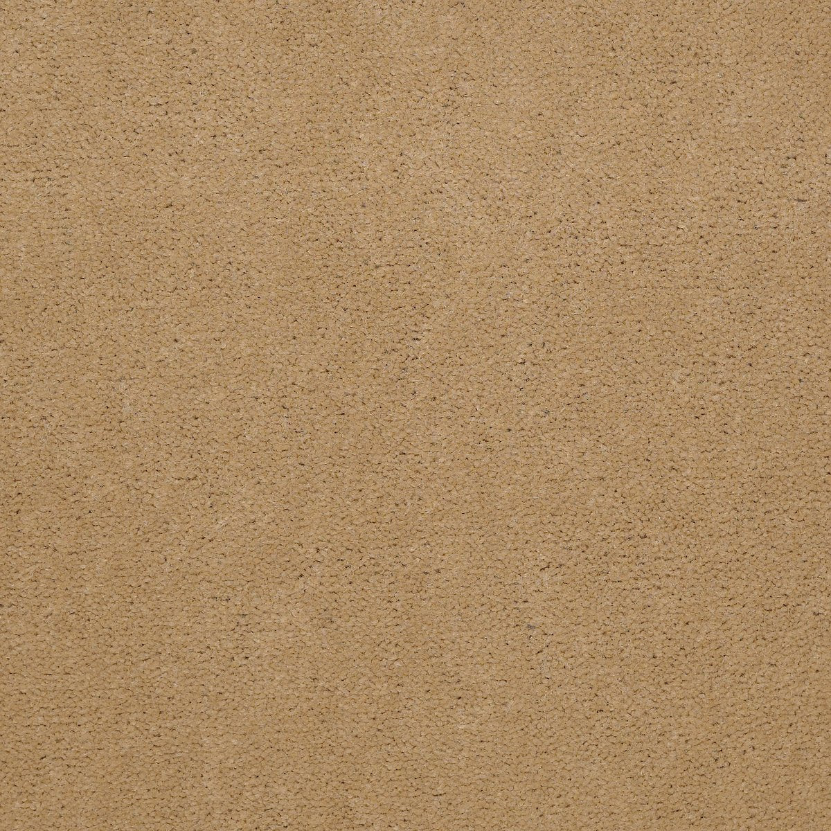Baytowne III 30 Camel 65147