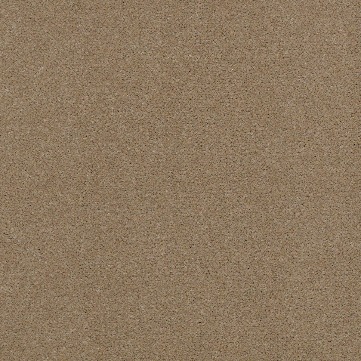 Baytowne III 30 Sand Dollar 65110