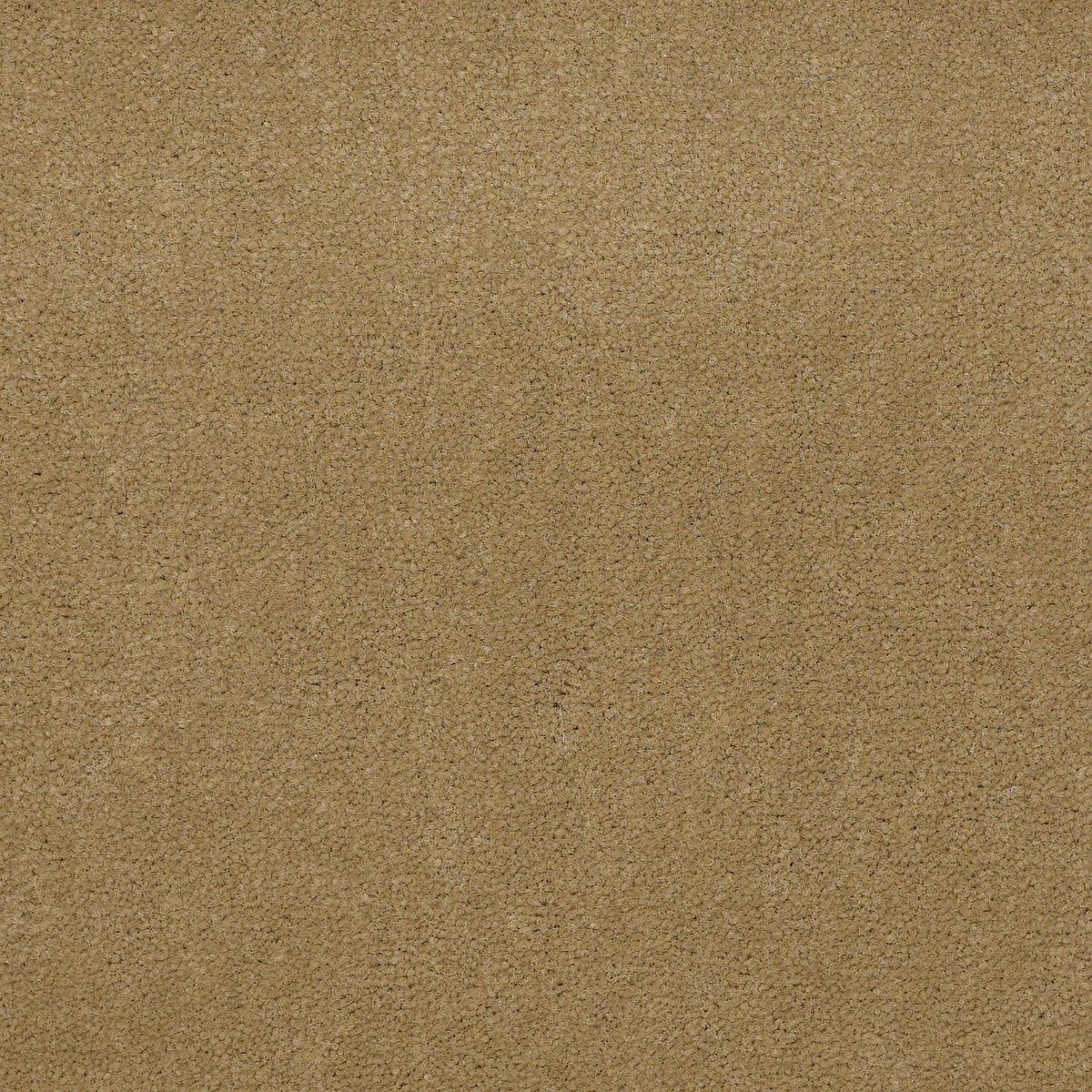 Baytowne III 30 Tuscan Gold 65191