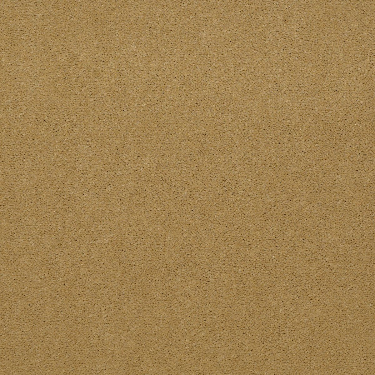 Baytowne III 36 Suede Gold 65243