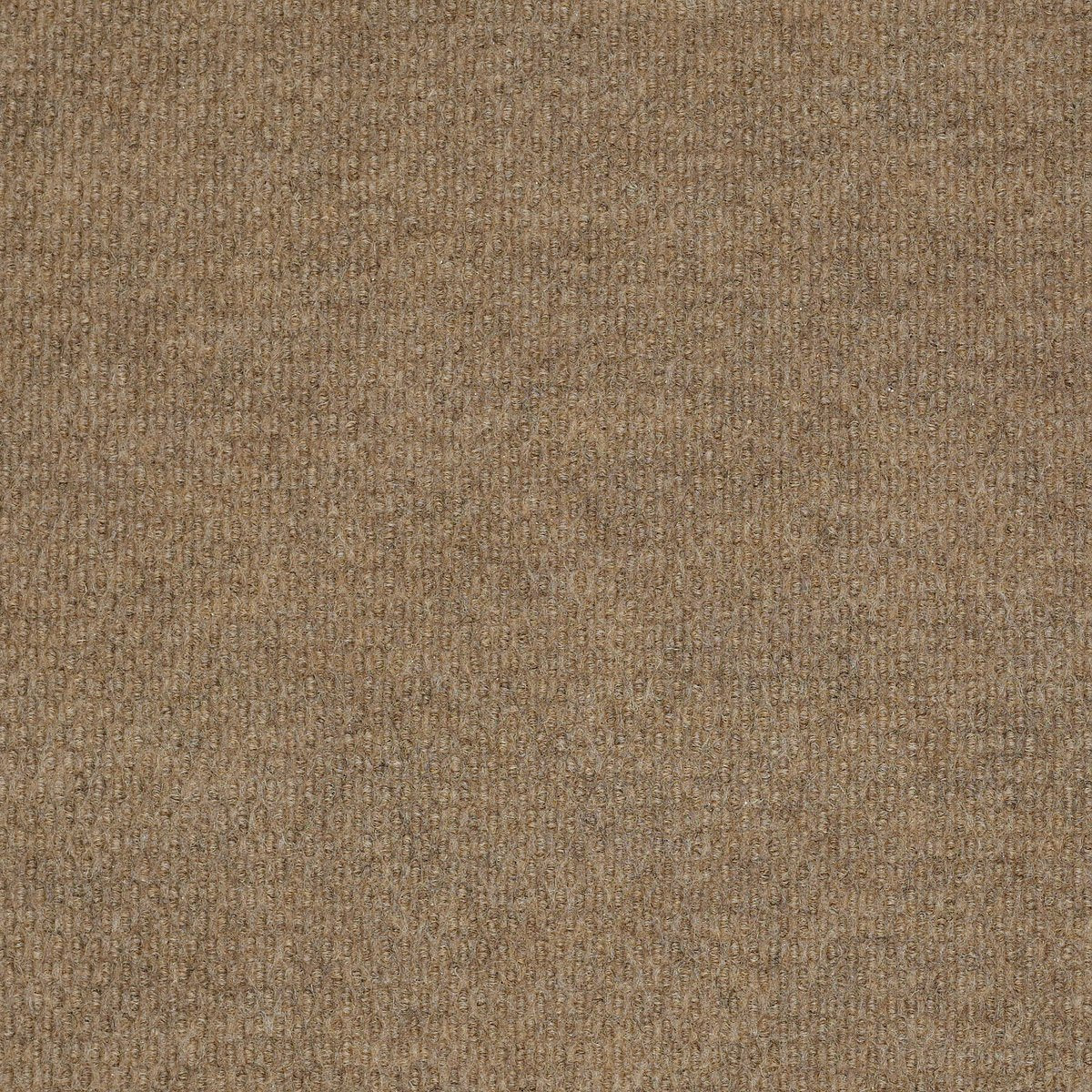Bedecked Fawn 00200