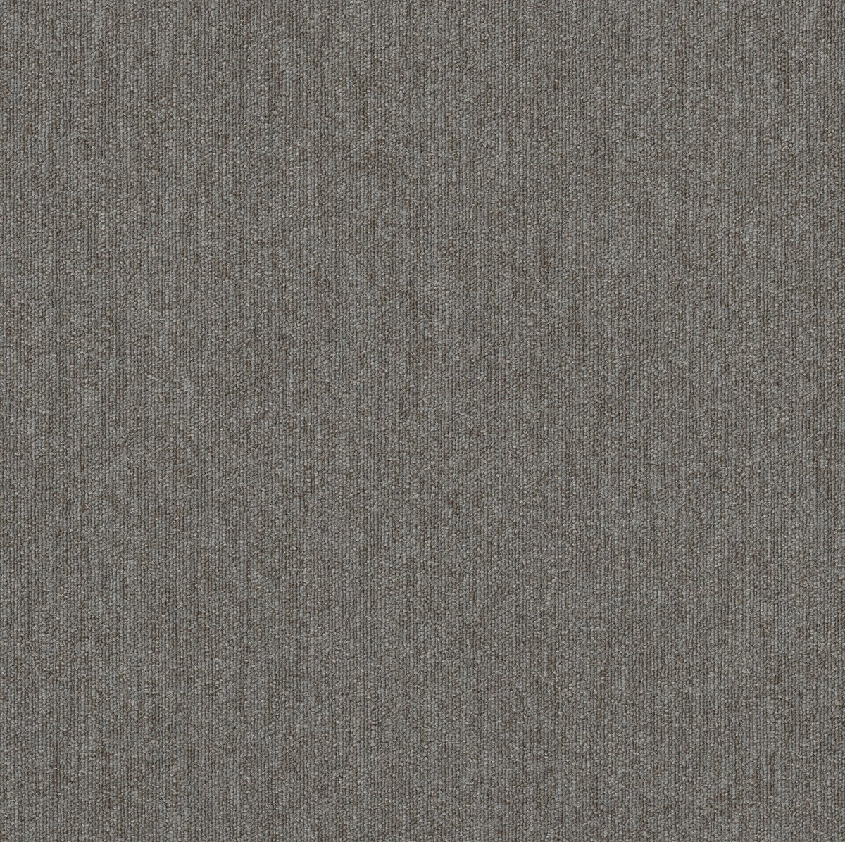 Beyond Limits Tundra 00500