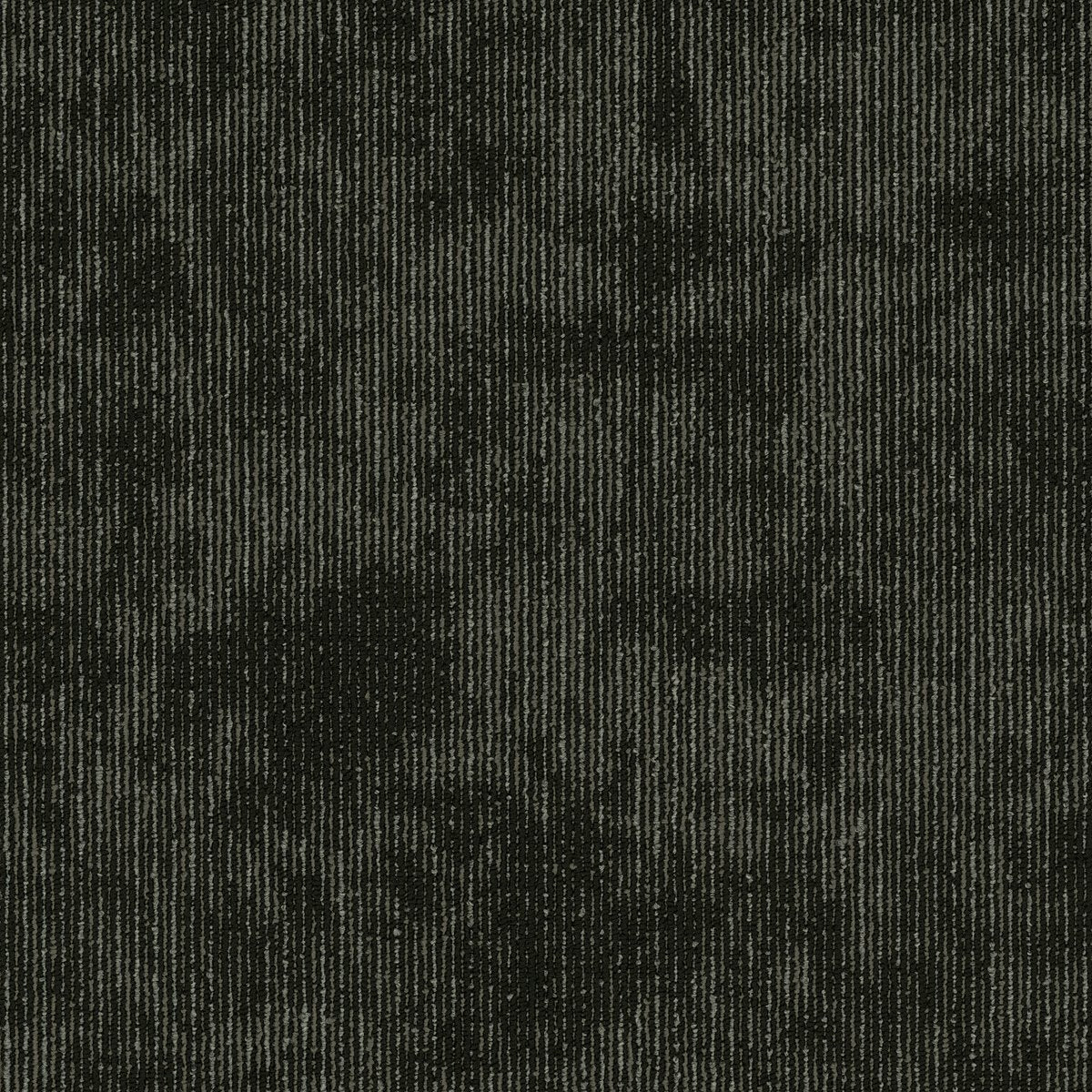 Biotic Collective 00510