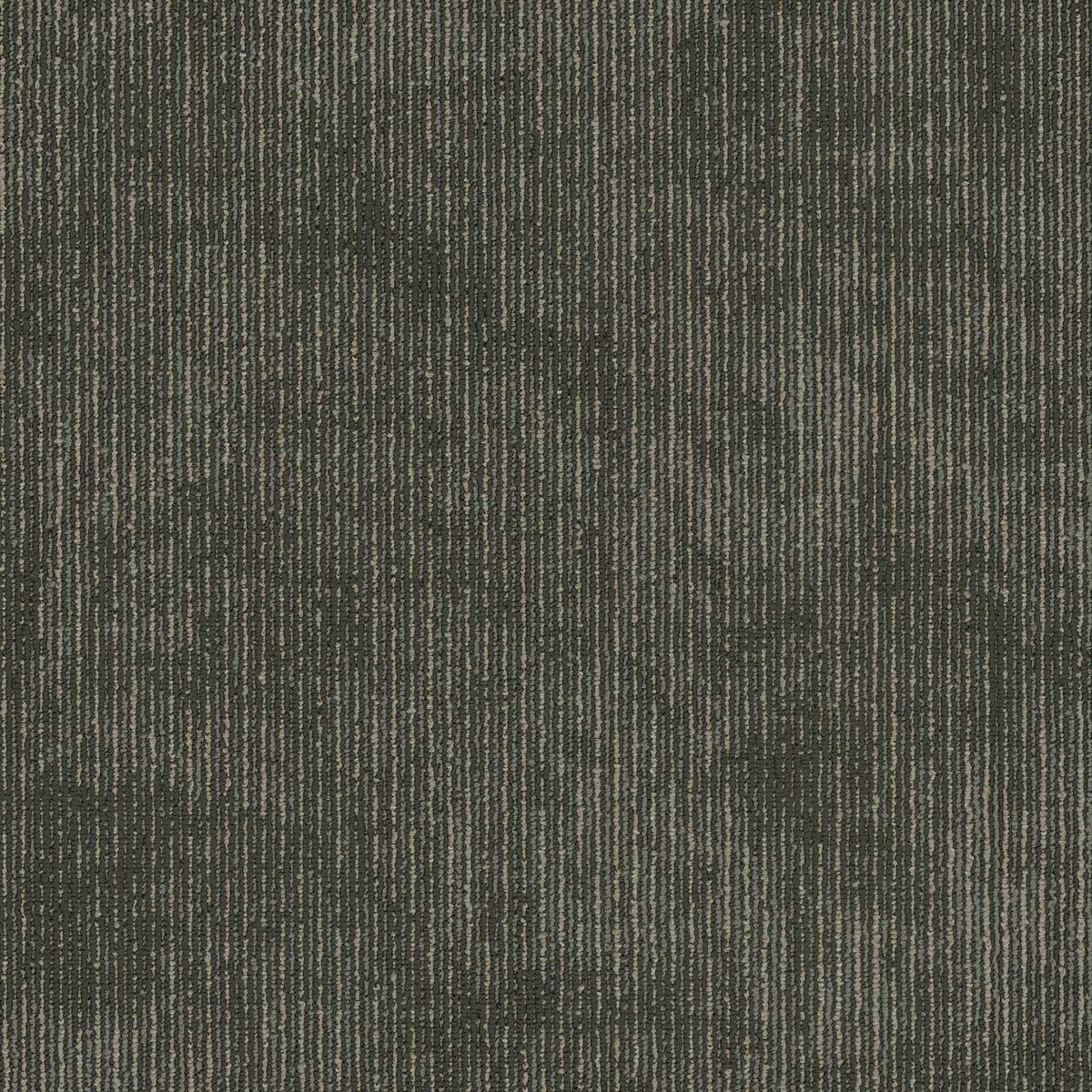 Biotic Composition 00505
