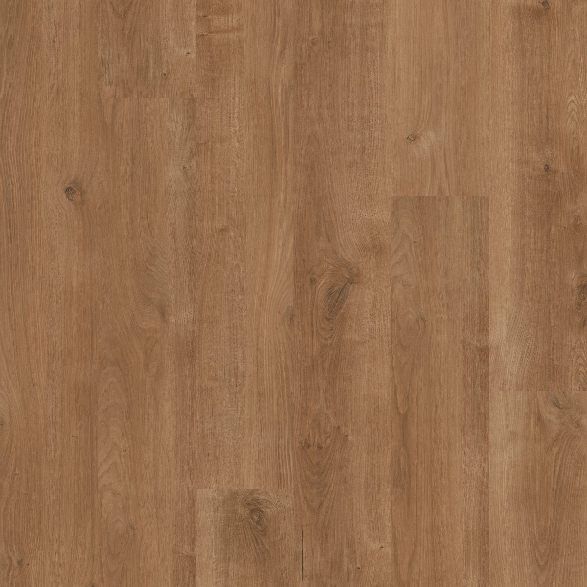 Bosk Pro 6 Ancient Umber 00230